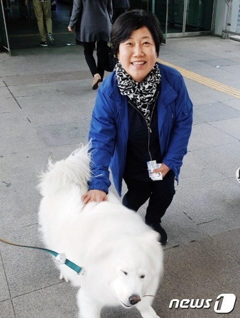 사람들 돕다 아파서 은퇴한 특수목적견들, 병원비 지원은 당연