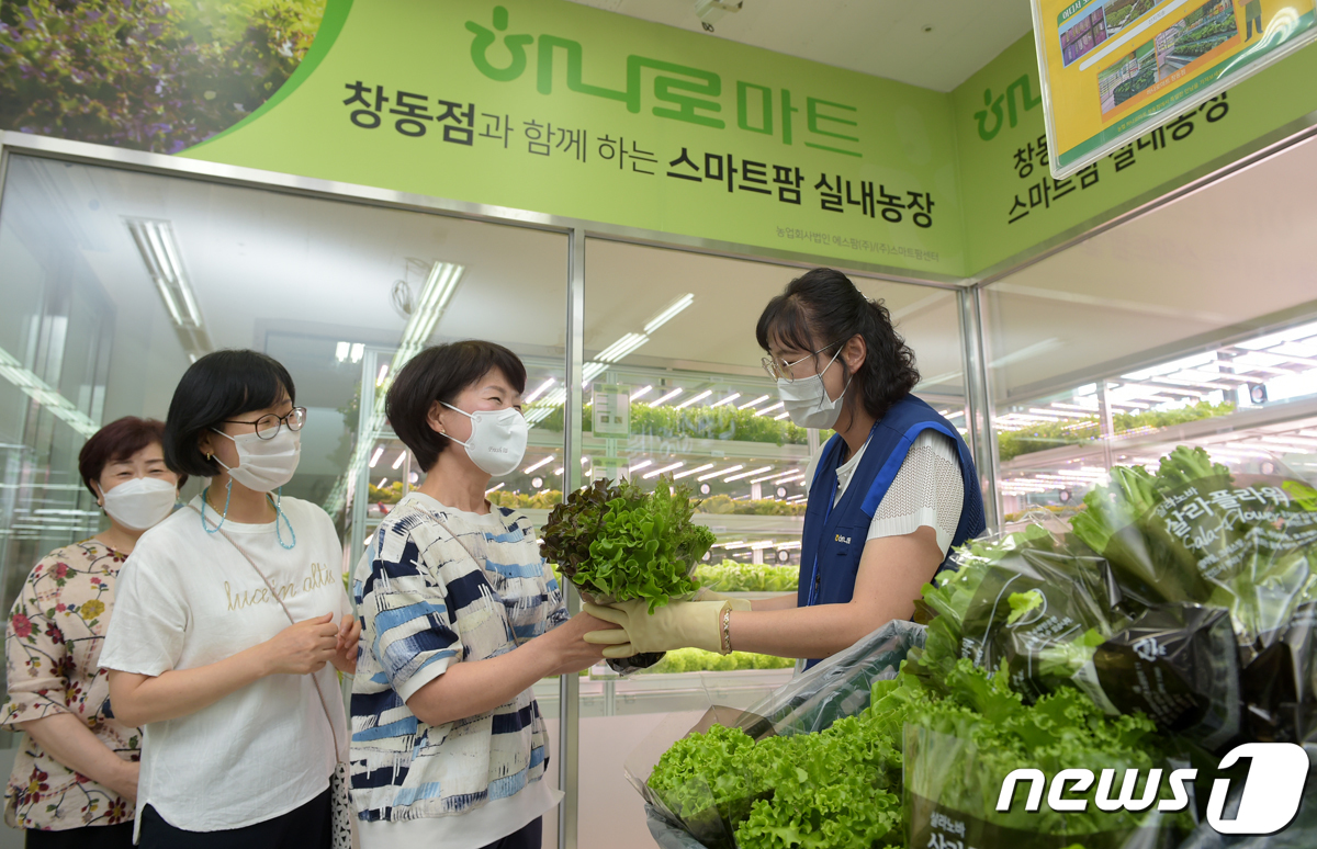 농협유통, 스마트팜 첫 수확 채소 우수고객에 증정