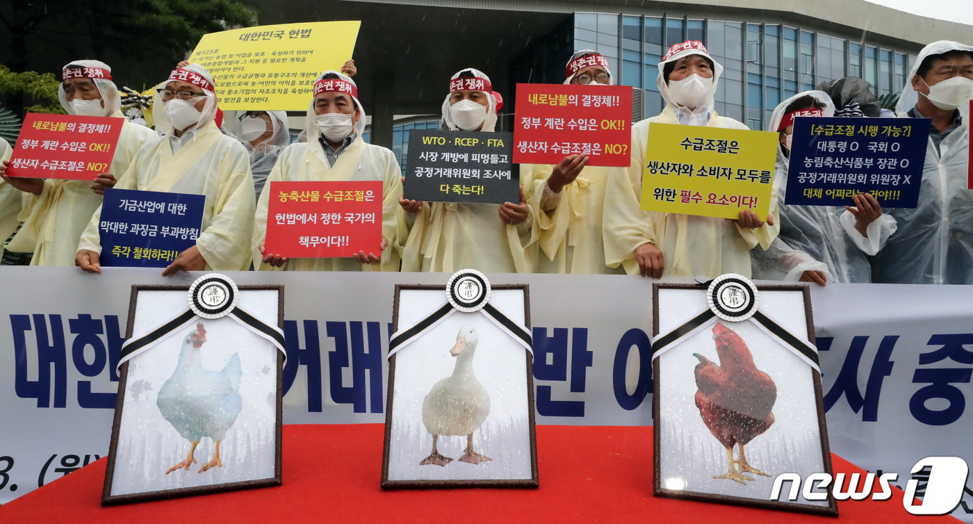정부의 가금육 수급정책 실패, 농가에 책임 전가 안돼