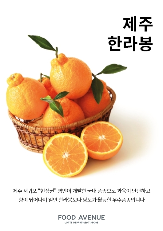 롯데百 강남점, 산지 직송 고급 과일 모은 전문관 연다
