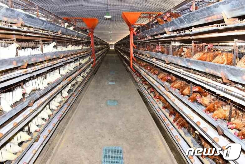 개건 현대화된 신의주닭공장…전날 준공식 진행