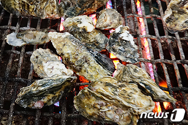 해저터널 개통 보령시 “올 겨울 오감만족 도시로 오세요”