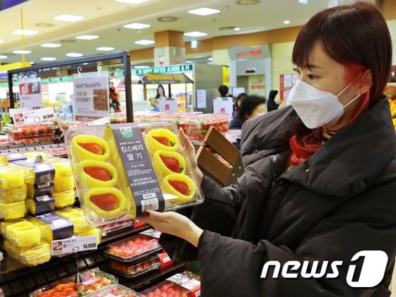 롯데마트에 딸기 풍년일세!