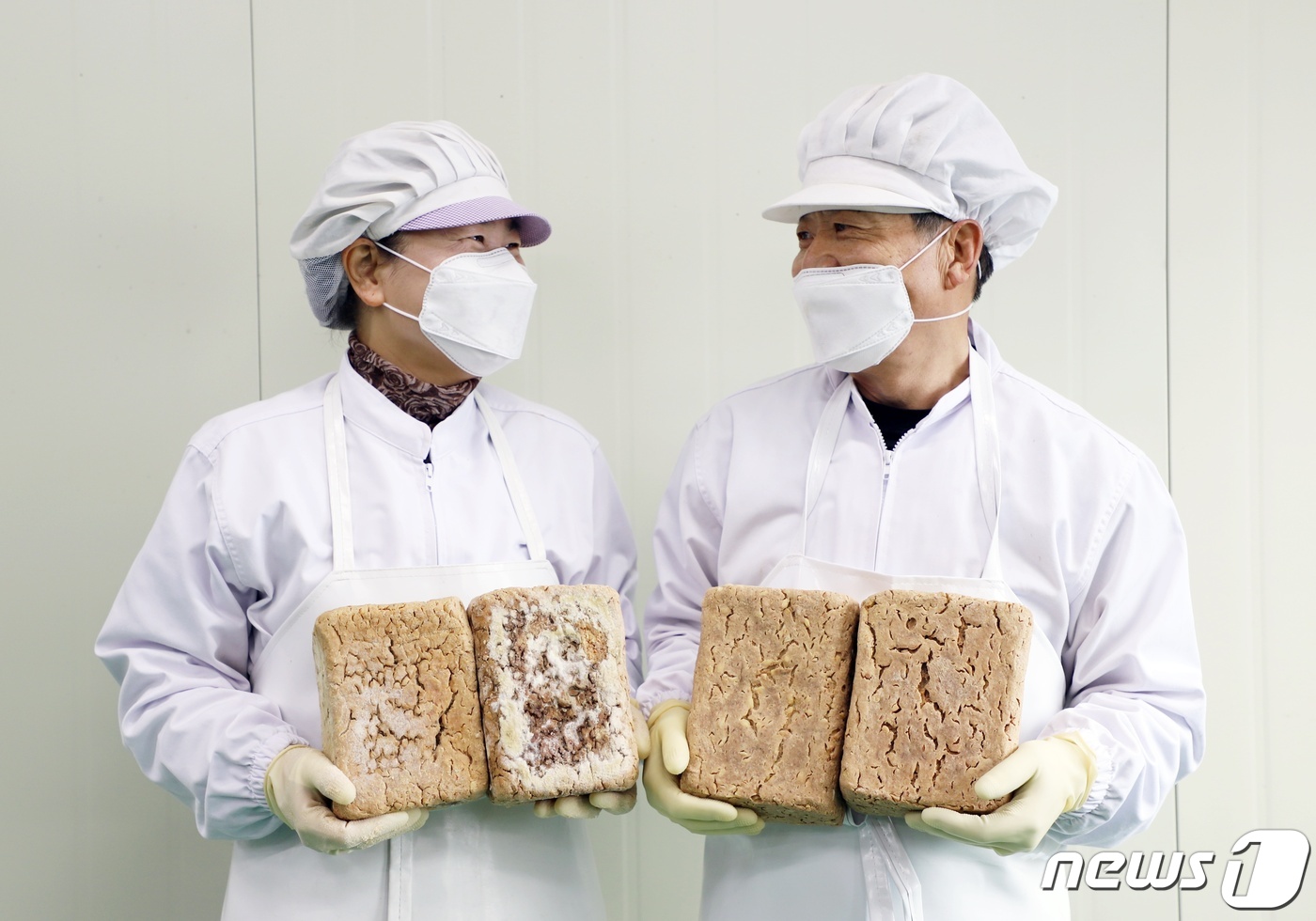 괴산 오가농원영농조합법인 개량종균 메주 사업화 성공