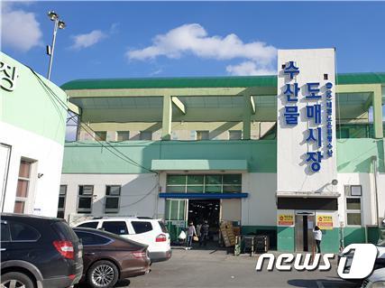 대전노은수산물도매시장 내 240석 규모 ‘회센터’ 생겨