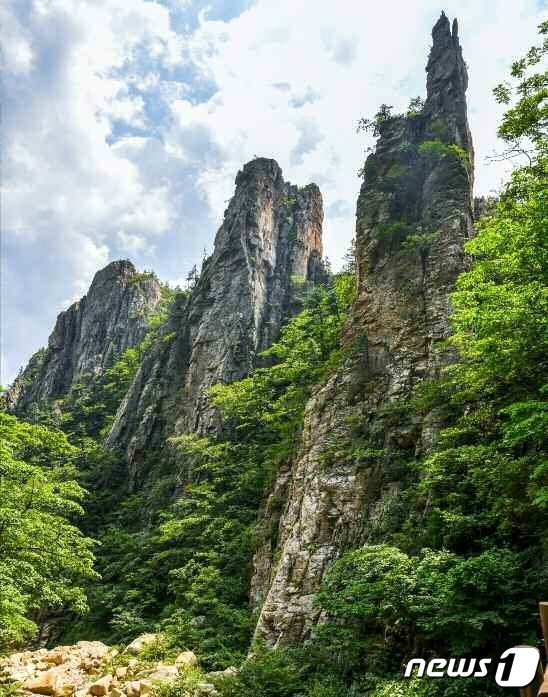 북한 천연기념물 금강산 삼선암