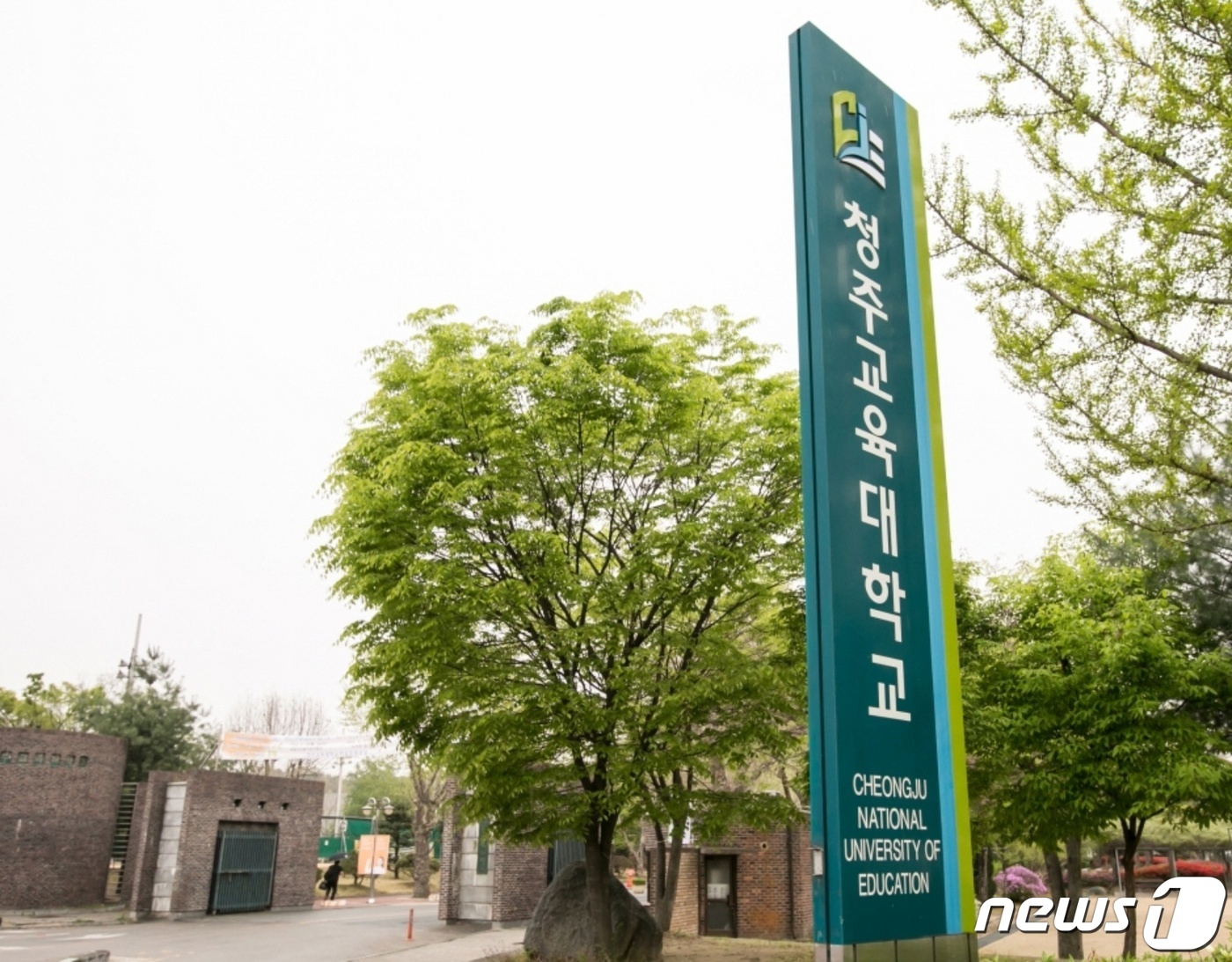 초등교육 변화 선도…청주교대, 대학-현장 교원 전문가 네트워크 구축