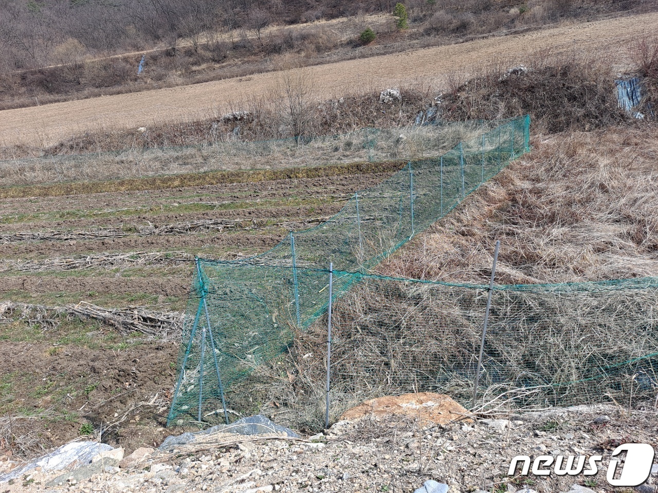 30년 농사 짓던 땅인데…잘못된 행정에 주민 억울해요