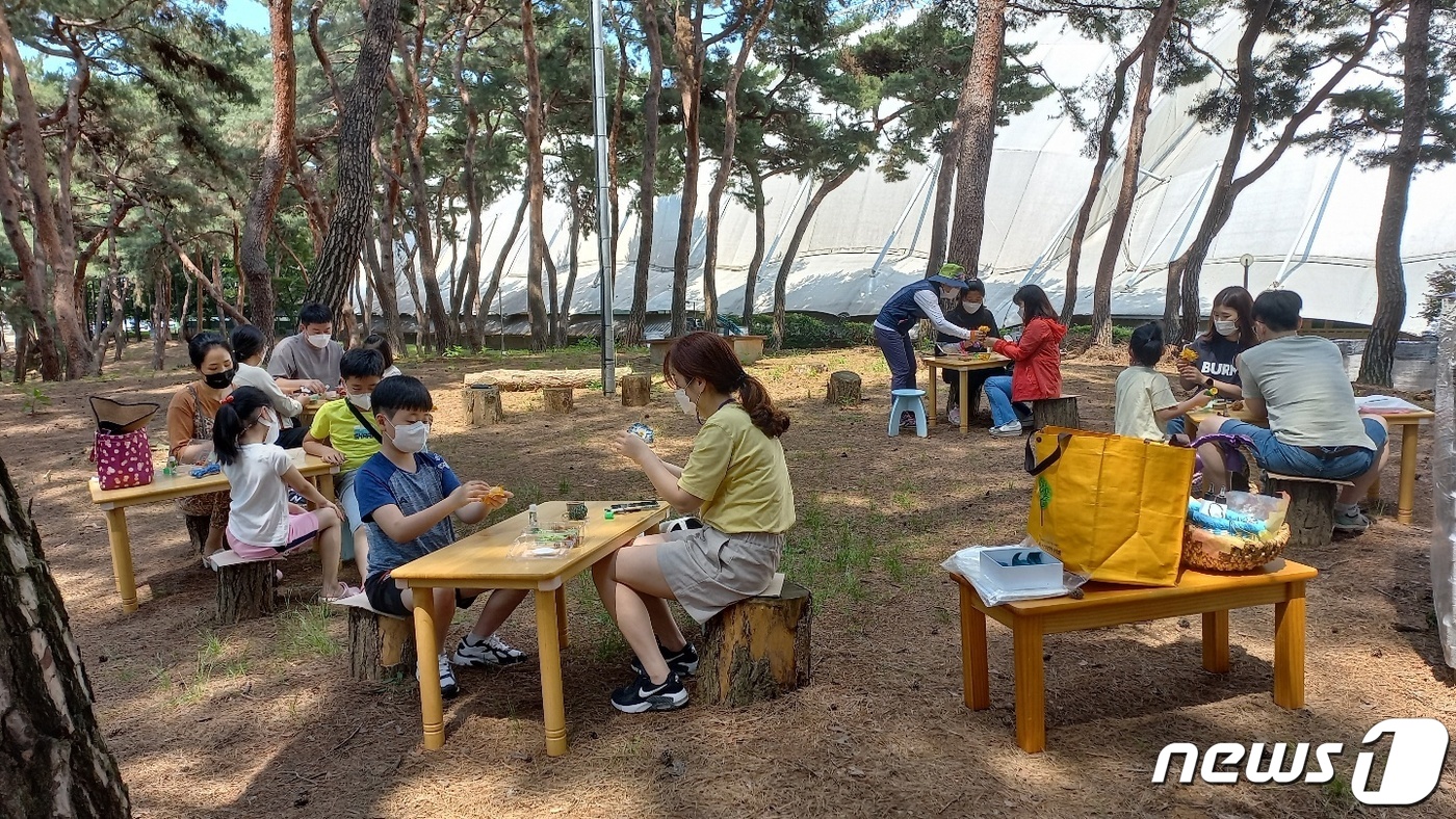 청주 솔밭공원 유아숲 체험원으로 놀러 오세요