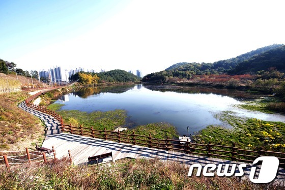 태화연캠핑장