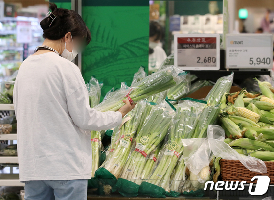망설여지는 채소 구입