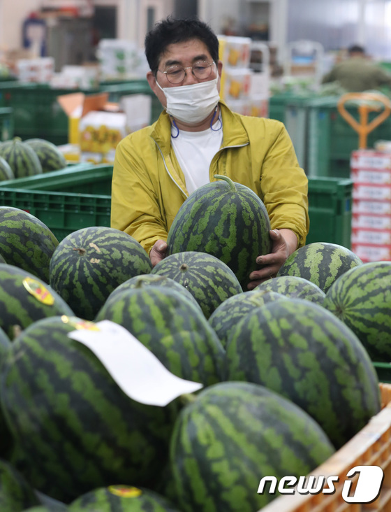 수박 고르는 상인