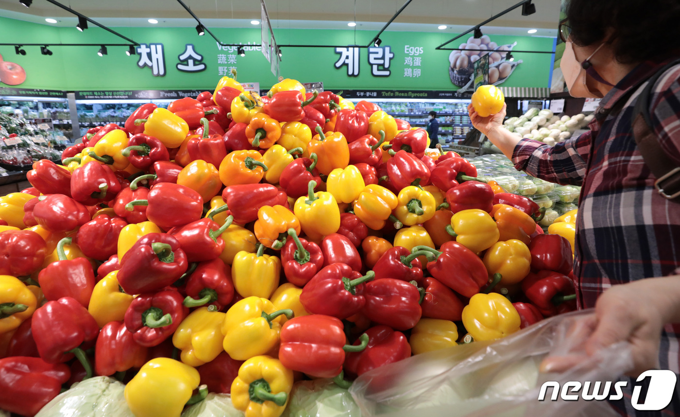 양파·파프리카 필요한 만큼만 산다 대형마트 무포장·낱개 판매 확대