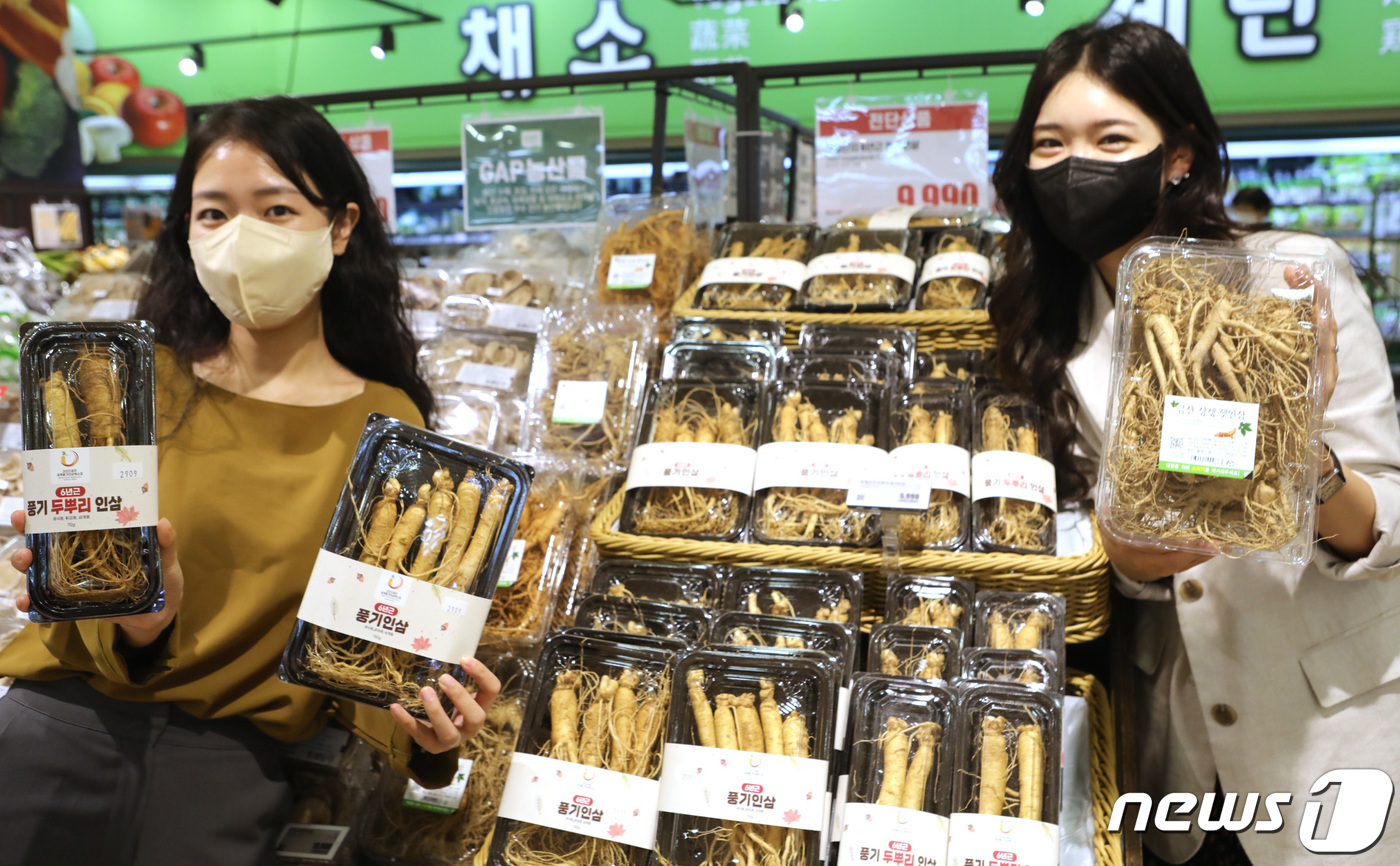 롯데마트에 풍기·금산 인삼 다 모였다