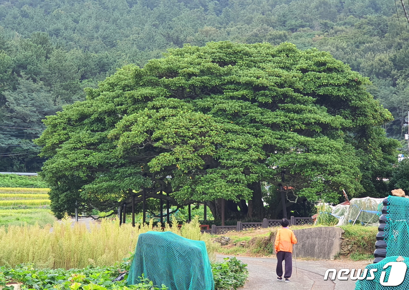 [신용석레인저가떴다] 남쪽바다 벗삼아 뚜벅…각산 오르니 삼천포 쪽빛 넘실