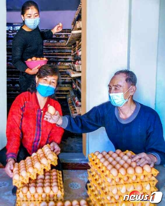 북한 가정 축산 모범 가정