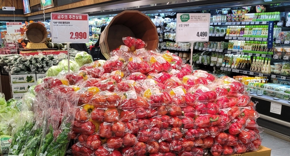 롯데마트, 삼중고 겪는 파프리카 농가 판로 확대 나선다
