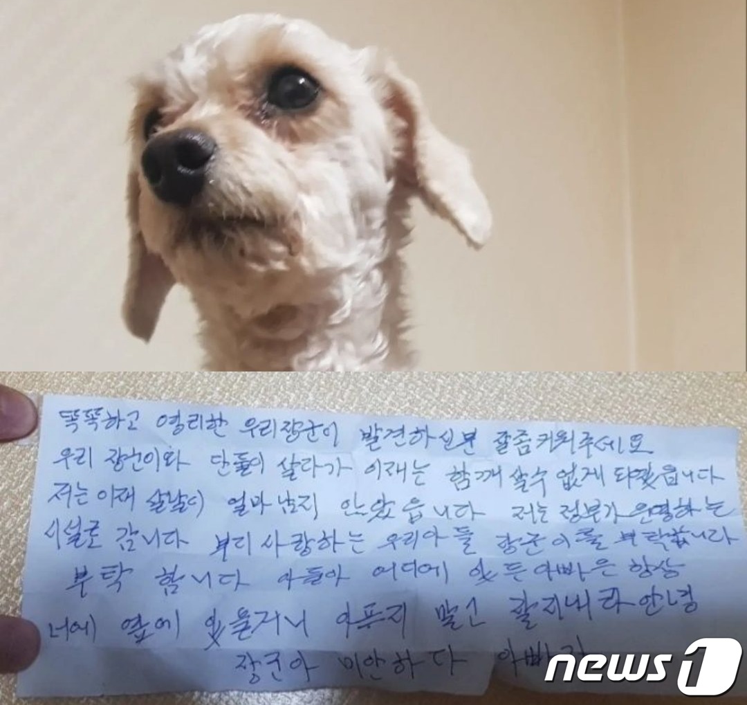 제가 살날 얼마 안 남아…장군이 부탁합니다 견주의 쪽지, 누리꾼 울렸다