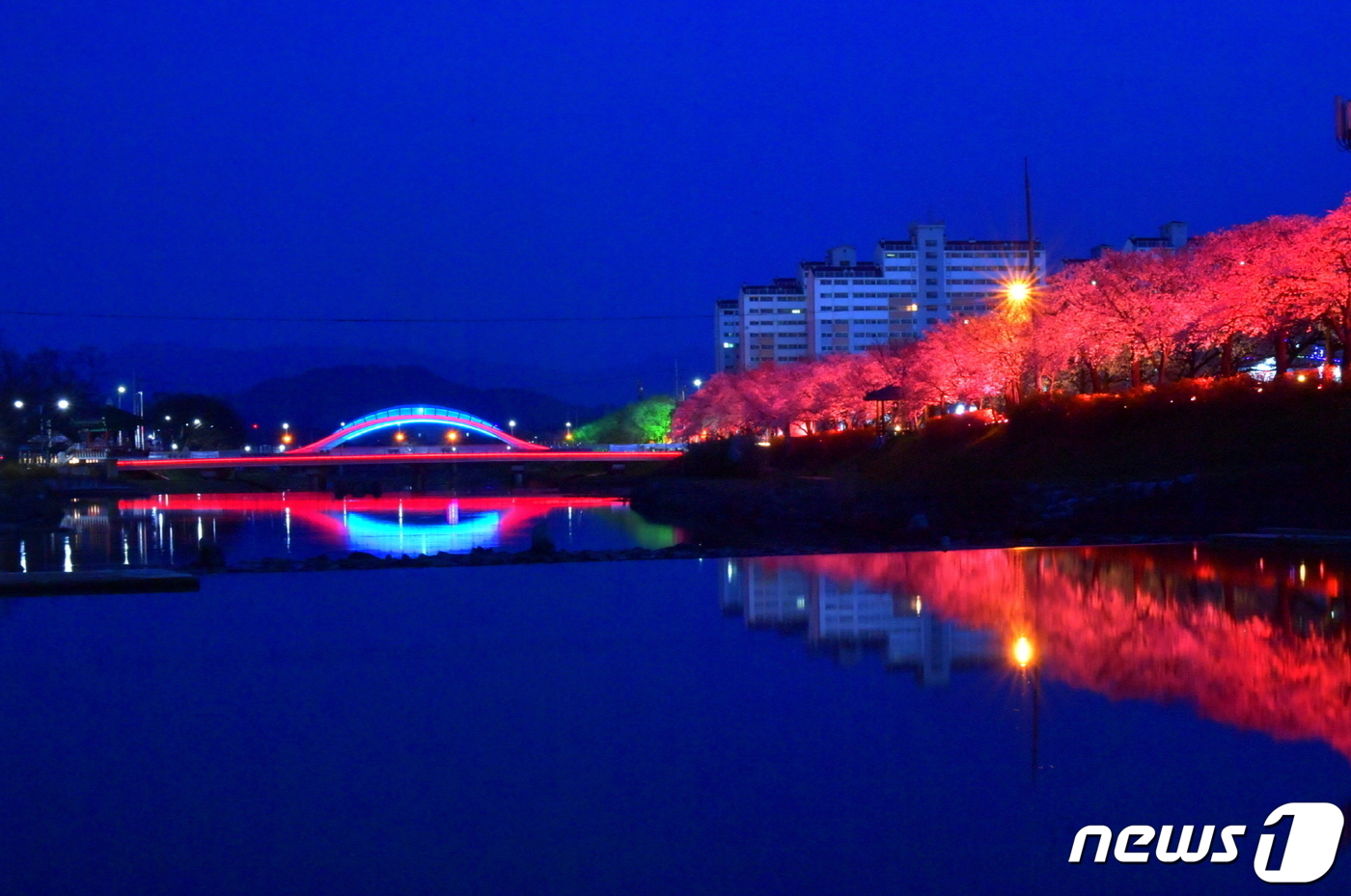 “봄바람에 벚꽃 휘날리는 순창으로 놀러 오세요”