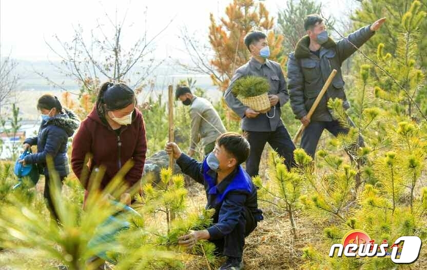 북한, 산림조성사업 진행…봄철 특성에 맞게 병해충 피해 막이 철저히