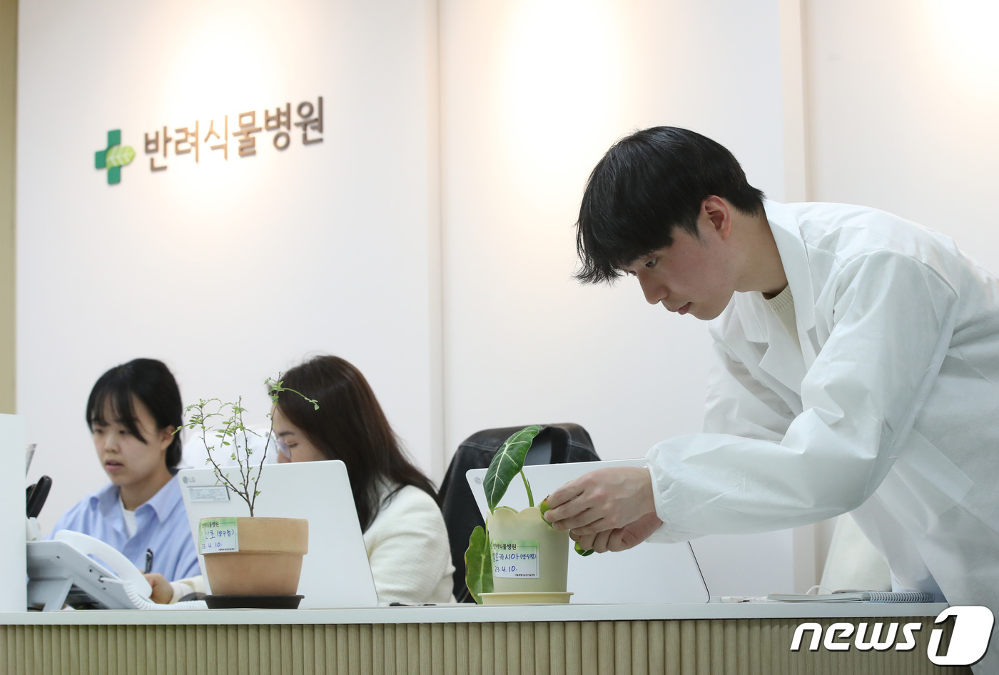 진단부터 입원까지 식물 병원 개원