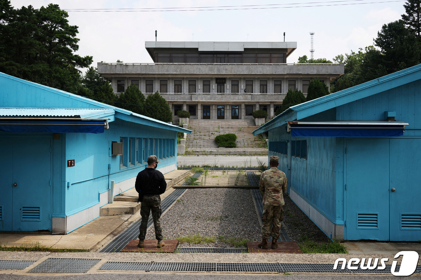 청년 140명이 먼저 걷는다…DMZ 평화의 길 524㎞