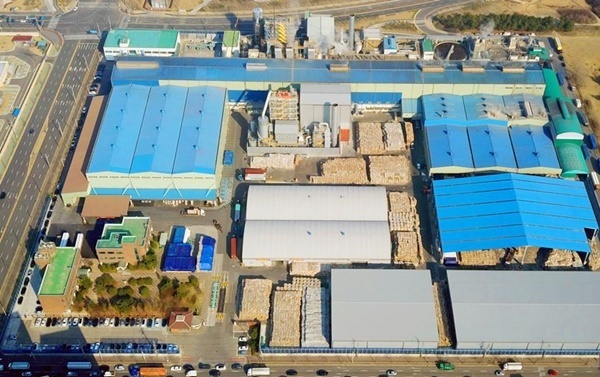 아세아제지, 주주환원정책 발표에 10%대 급등…52주 신고가[특징주]