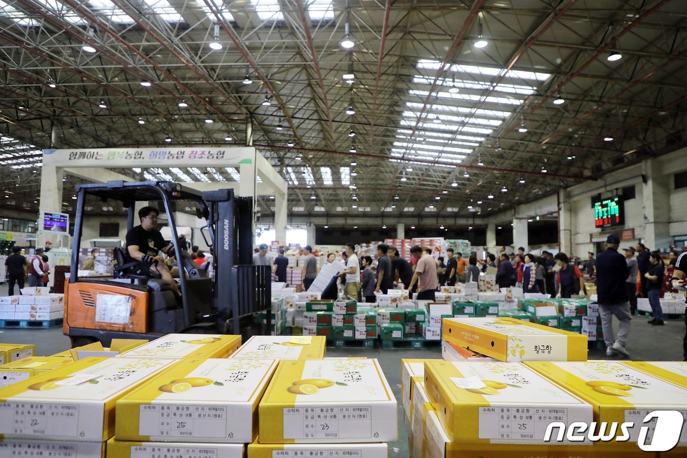 추석 앞둔 농산물 공판장 분주