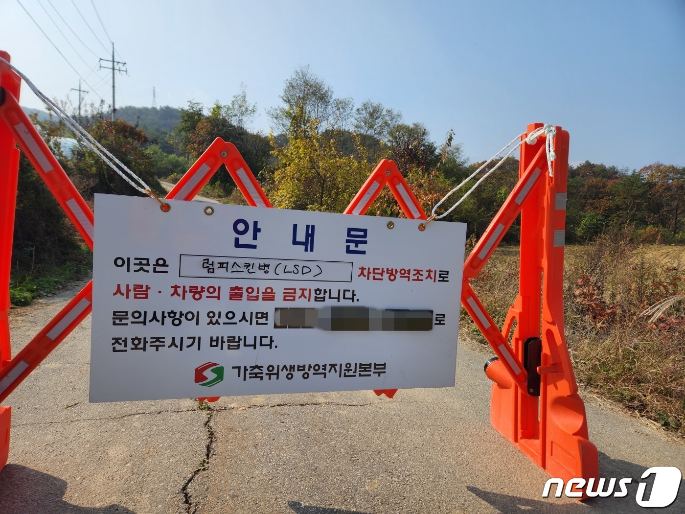 “잠도 못 자고 계속 소만 들여다 봐” 럼피스킨병 확진 인근 농가 ‘초비상’