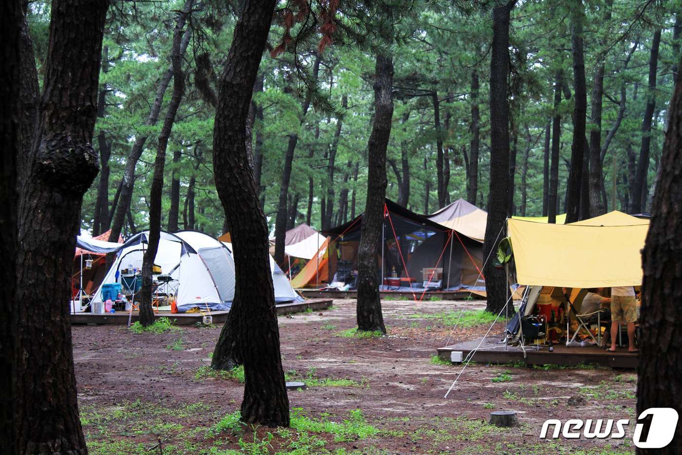 가족친화 야영장은…관광공사 전국 시설우수 야영장 20곳 선정