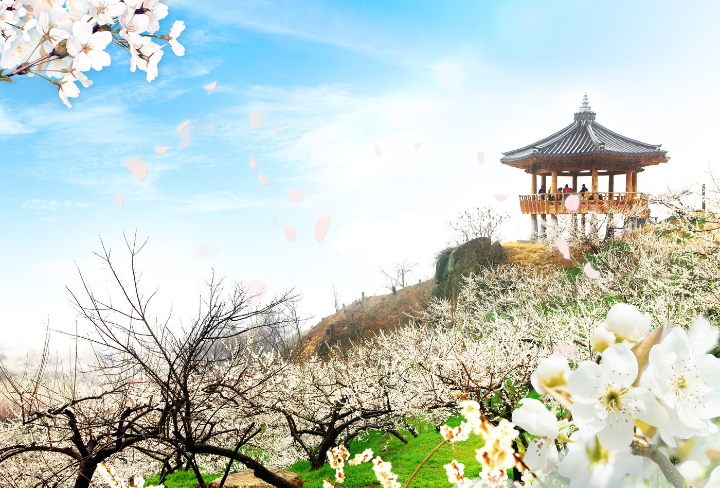 GS샵, 광양 매화 축제 1박 2일 여행상품 선봬