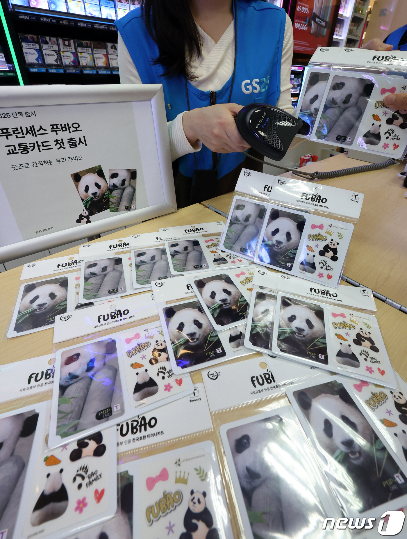 푸바오 티머니 카드 출시 푸바오를 간직해요