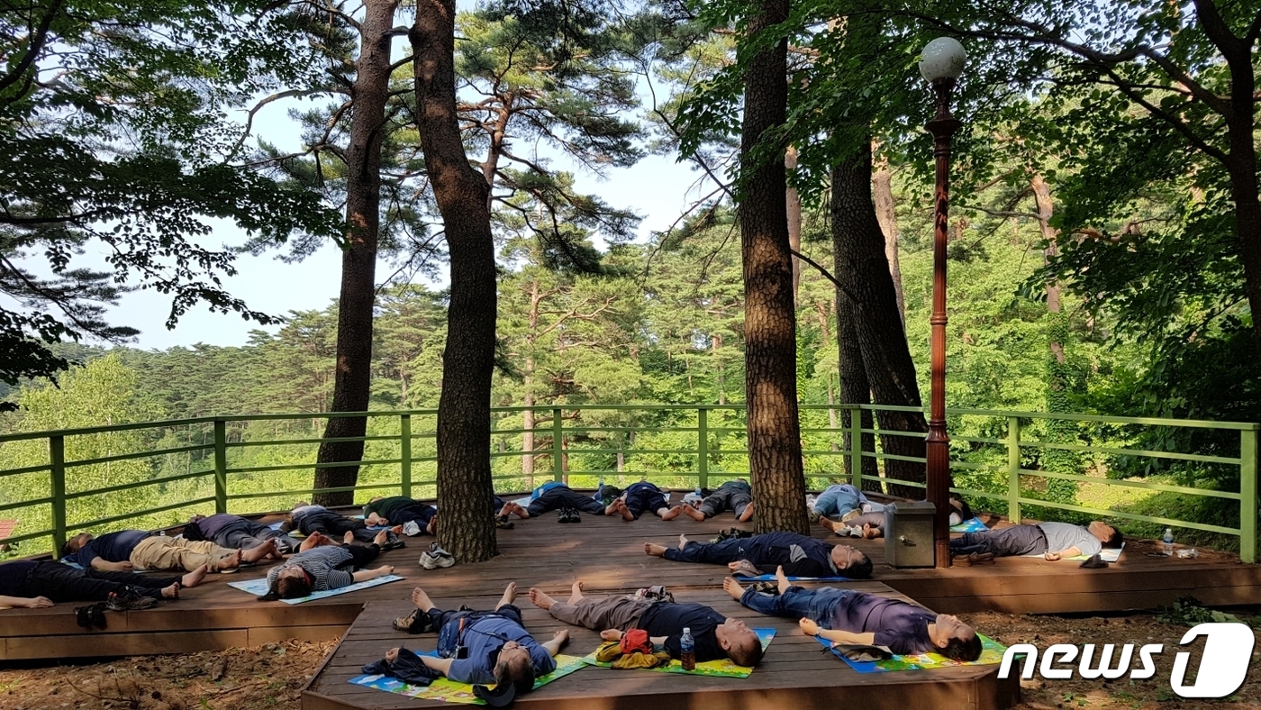 전국 45개 국립자연휴양림, 산림교육·치유프로그램 본격 운영