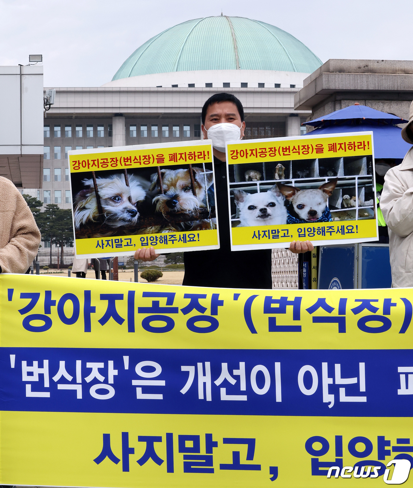 동물보호단체, 강아지공장 폐지하라