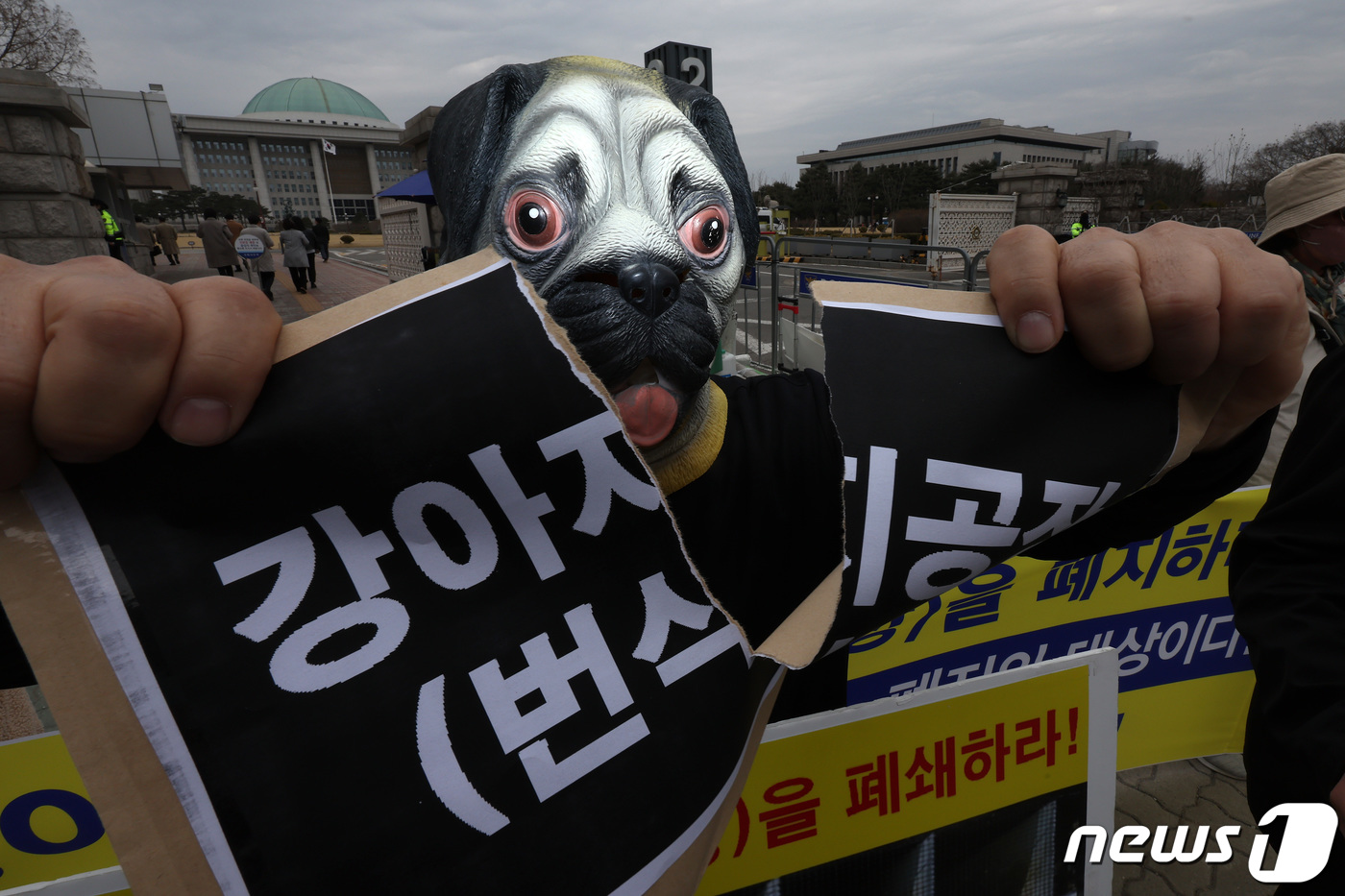 강아지공장 폐지 촉구