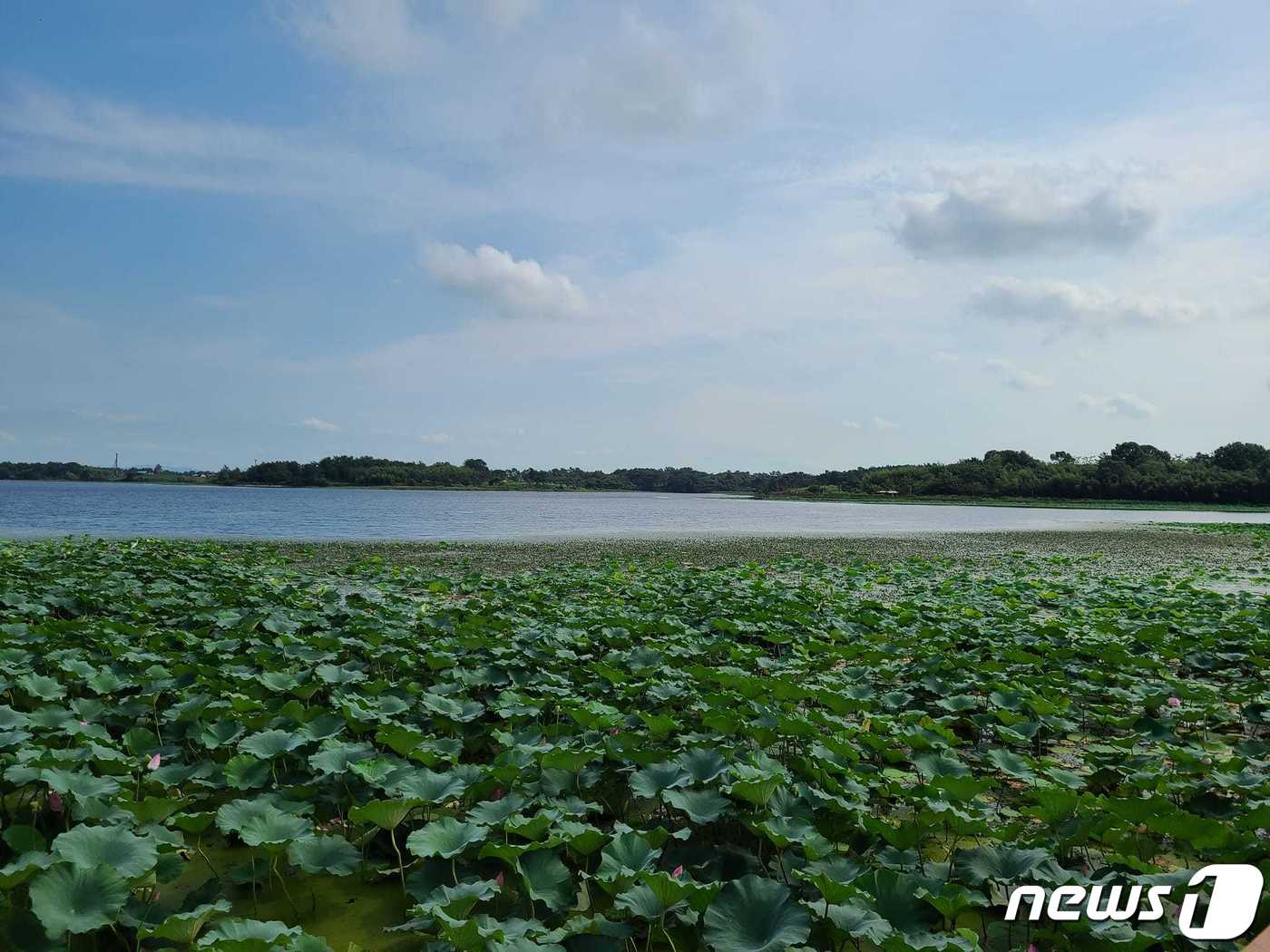 김제 만경 능제저수지 유원지 지정…서부권 관광활성화 기대