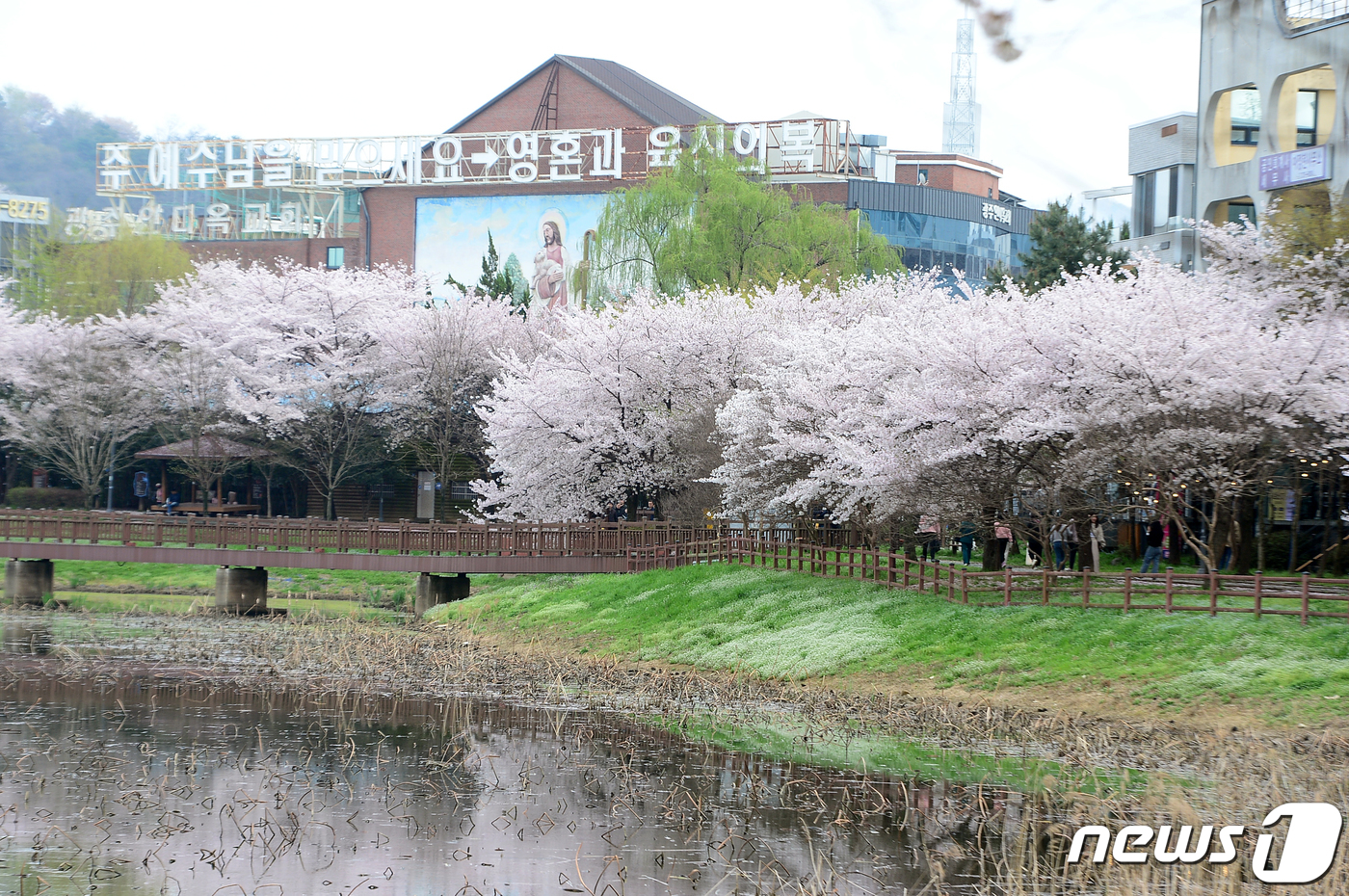 핑크빛으로 물든 운천저수지