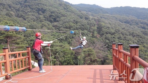 용인시, 자연휴양림 ‘집라인’ 재개장…친환경 서바이벌 프로그램도
