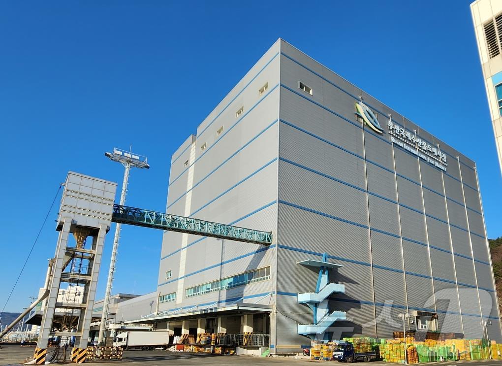 부산국제수산물도매시장, 냉동·냉장창고 시설 17년 만 전면 개보수