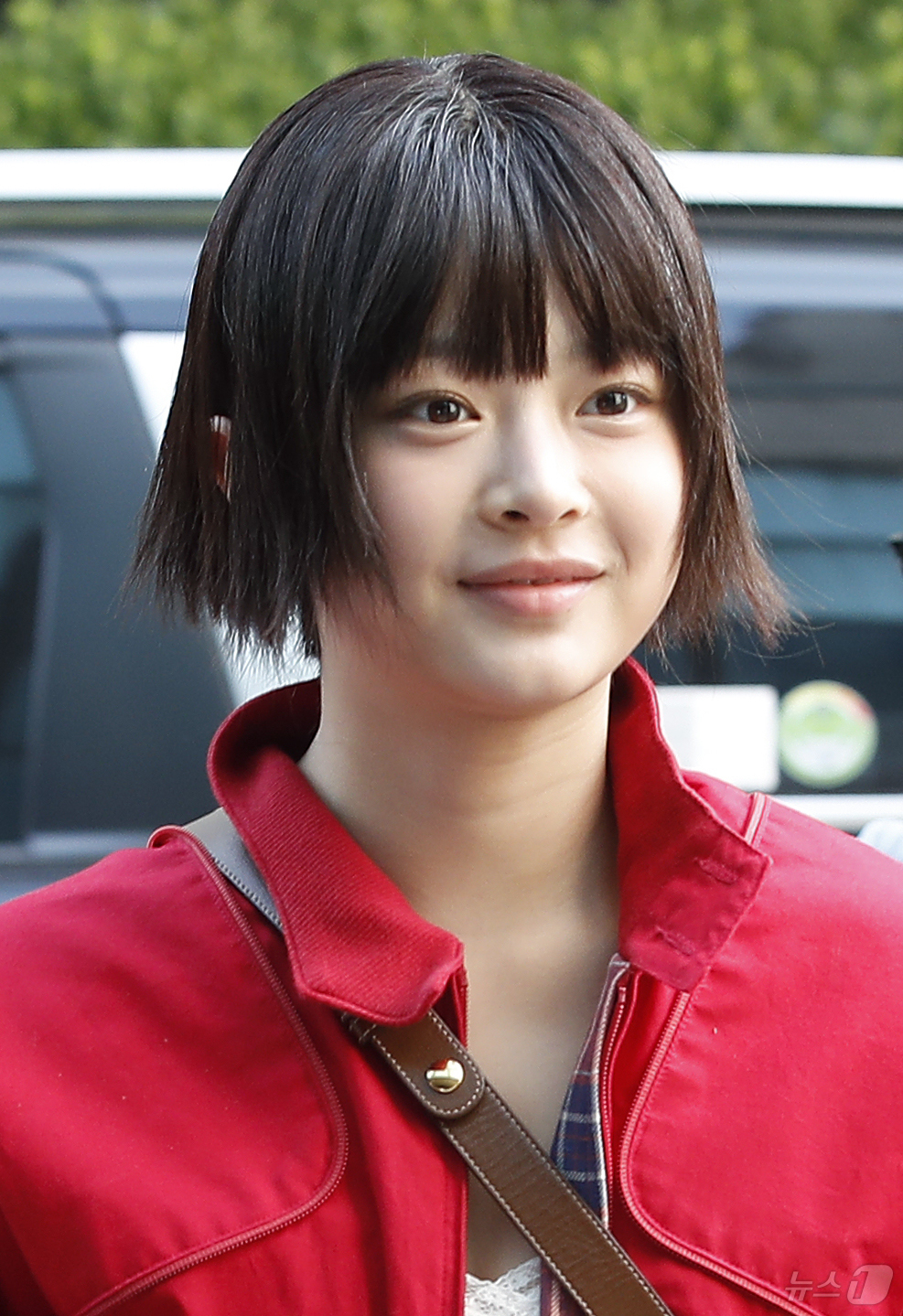 하니, 인형
