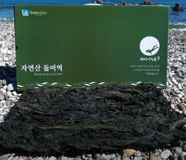 경북도, 임산모에 동해 특산 돌미역 무료 제공…출산 장려