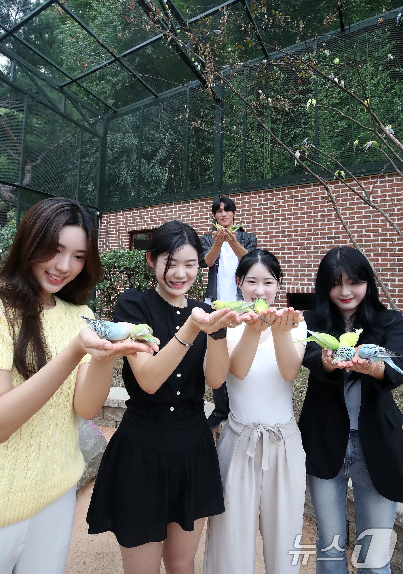 사랑스러운 사랑새