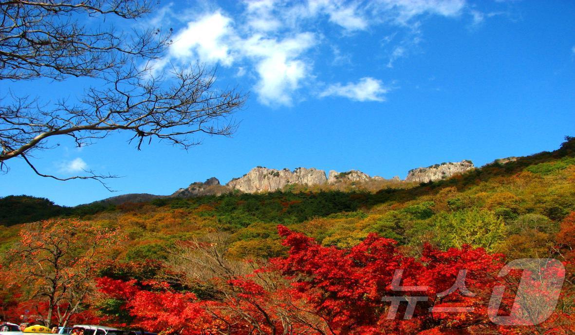 내장산 서래봉~벽련암 2.8㎞ 구간 탐방로 예약제…10월 21일부터