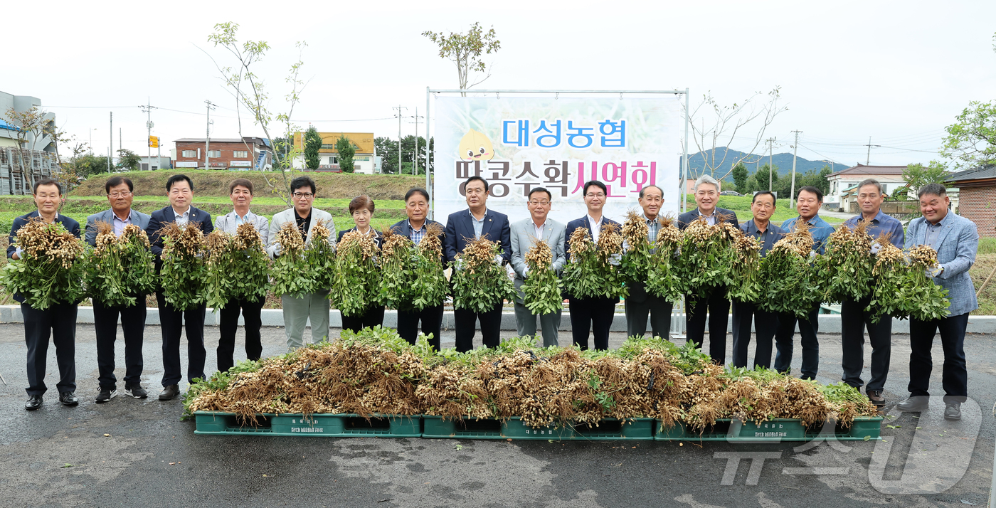 고창 햇땅콩 맛보세요…고창군·대성농협, 명품 땅콩 수확 시연회