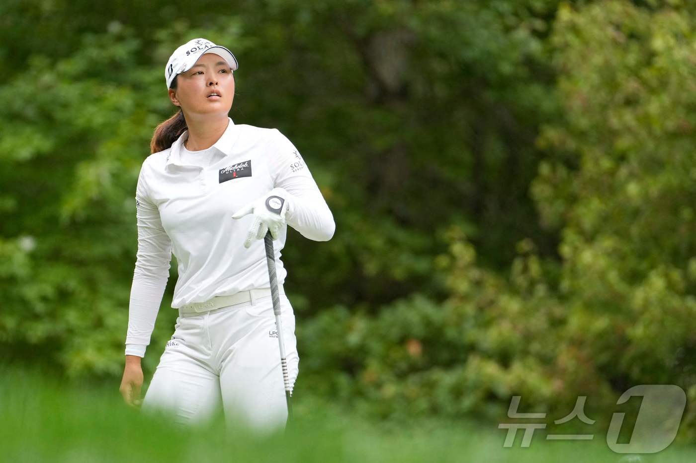 고진영, LPGA 토토 재팬 클래식 첫날 보기 없이 7언더파