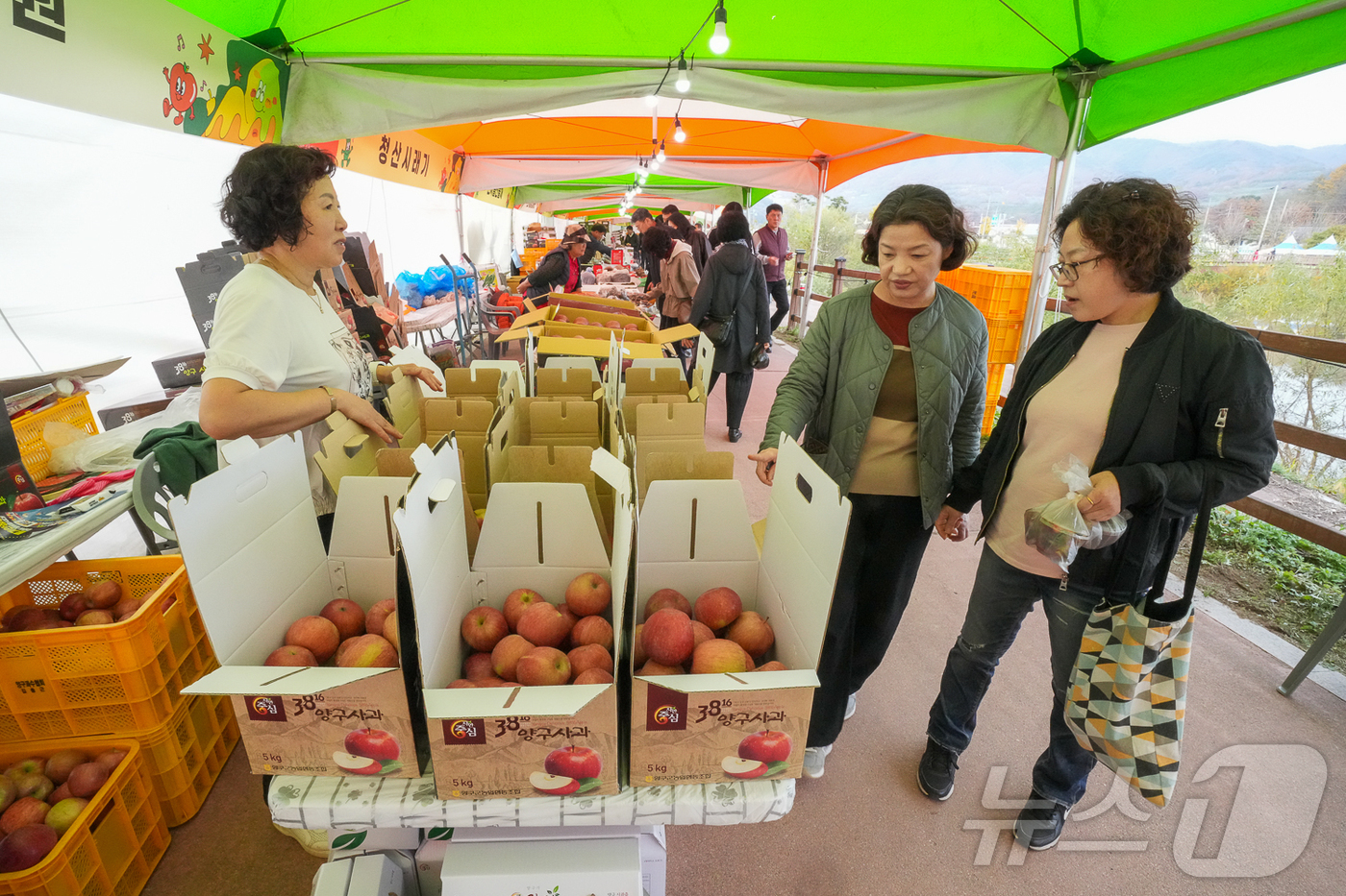 양구 대표 특산물 맛보자…‘펀치볼 시래기·사과 축제’ 인파 가득