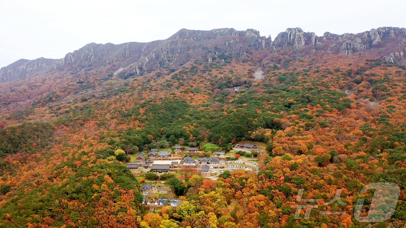 마지막 단풍 머무는 해남 두륜산·달마산서 만추를