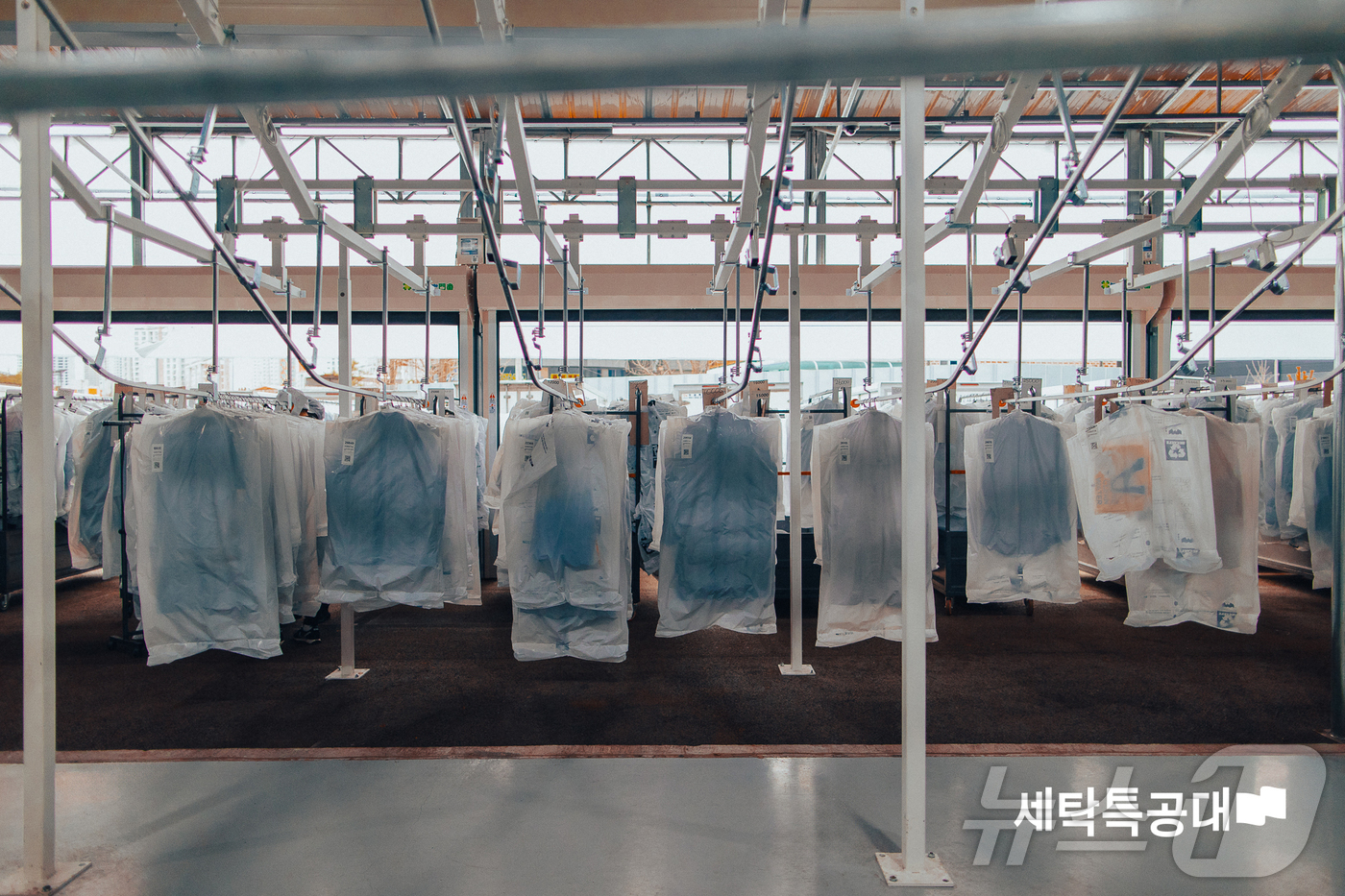 세탁특공대 운영사 워시스왓, 70억 규모 시리즈C 브릿지 투자 유치