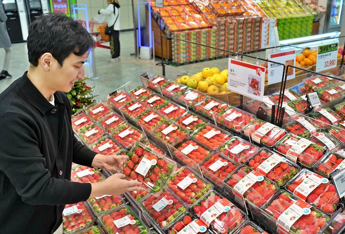 딸기에 진심…롯데마트, 스마트팜 물량 3배 늘린다