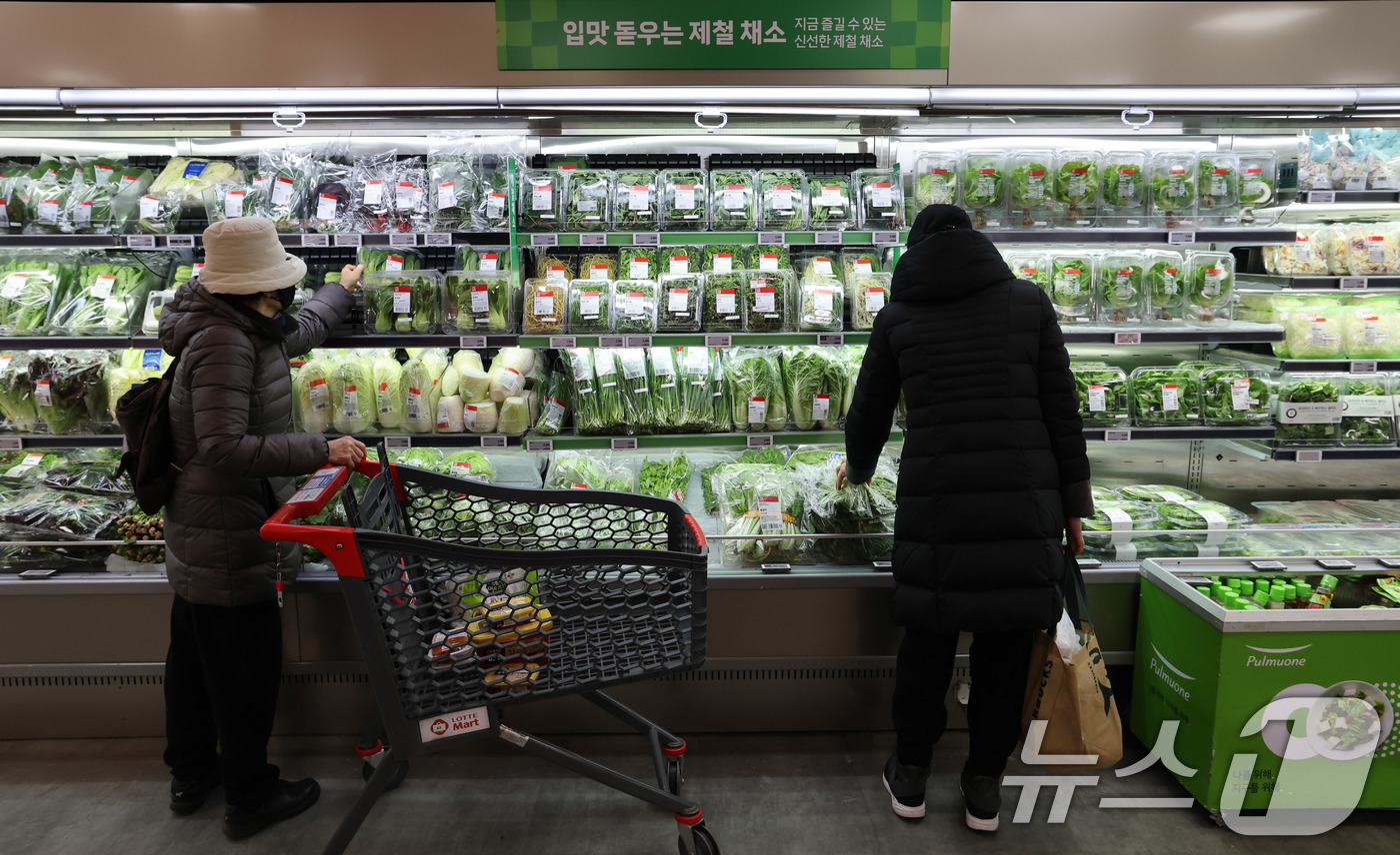 설 물가 낮춘다는데…대형마트 할인지원 농산물 살펴보니